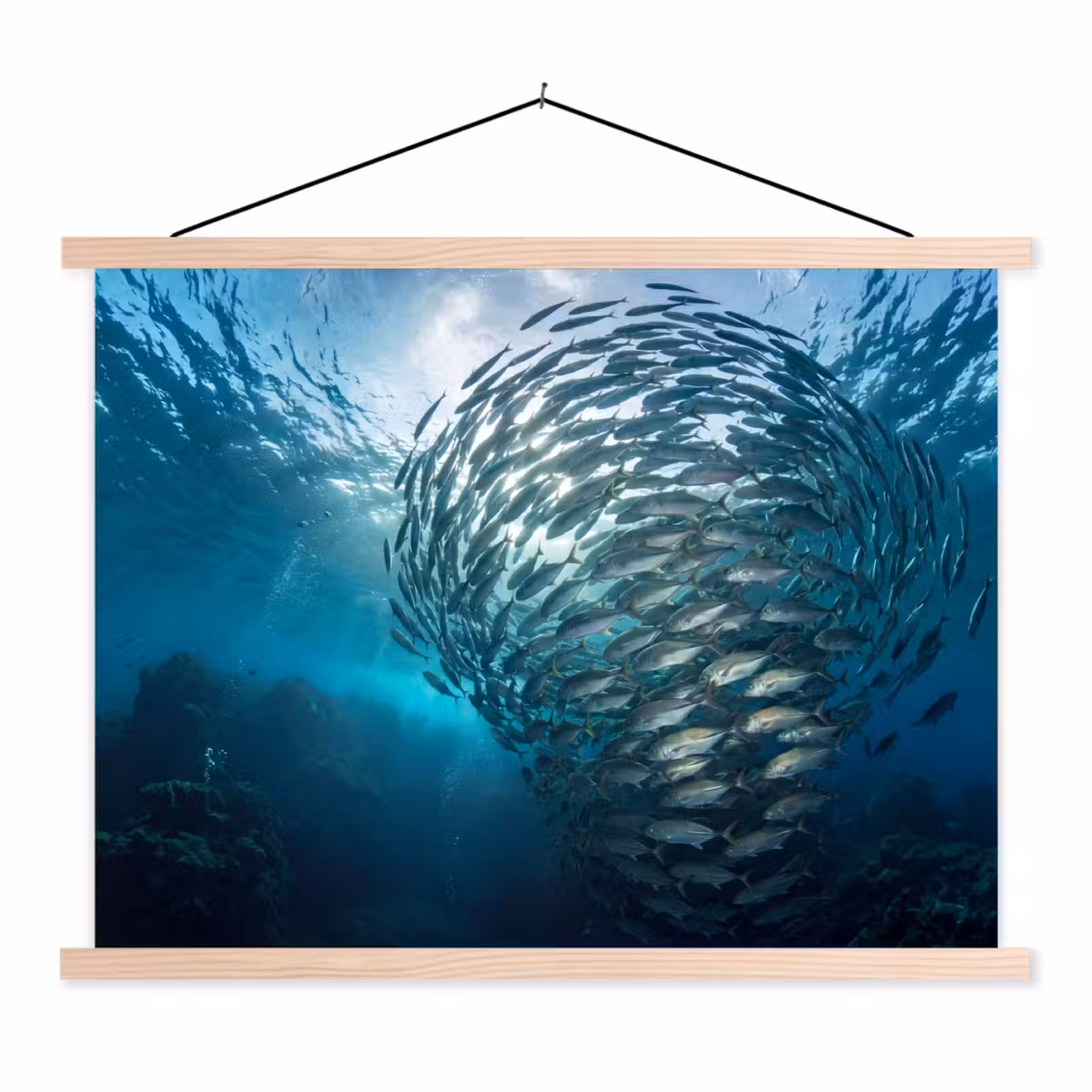 Schoolplaat - Vis - School - Oceaan - Natuur - Blauw — 1