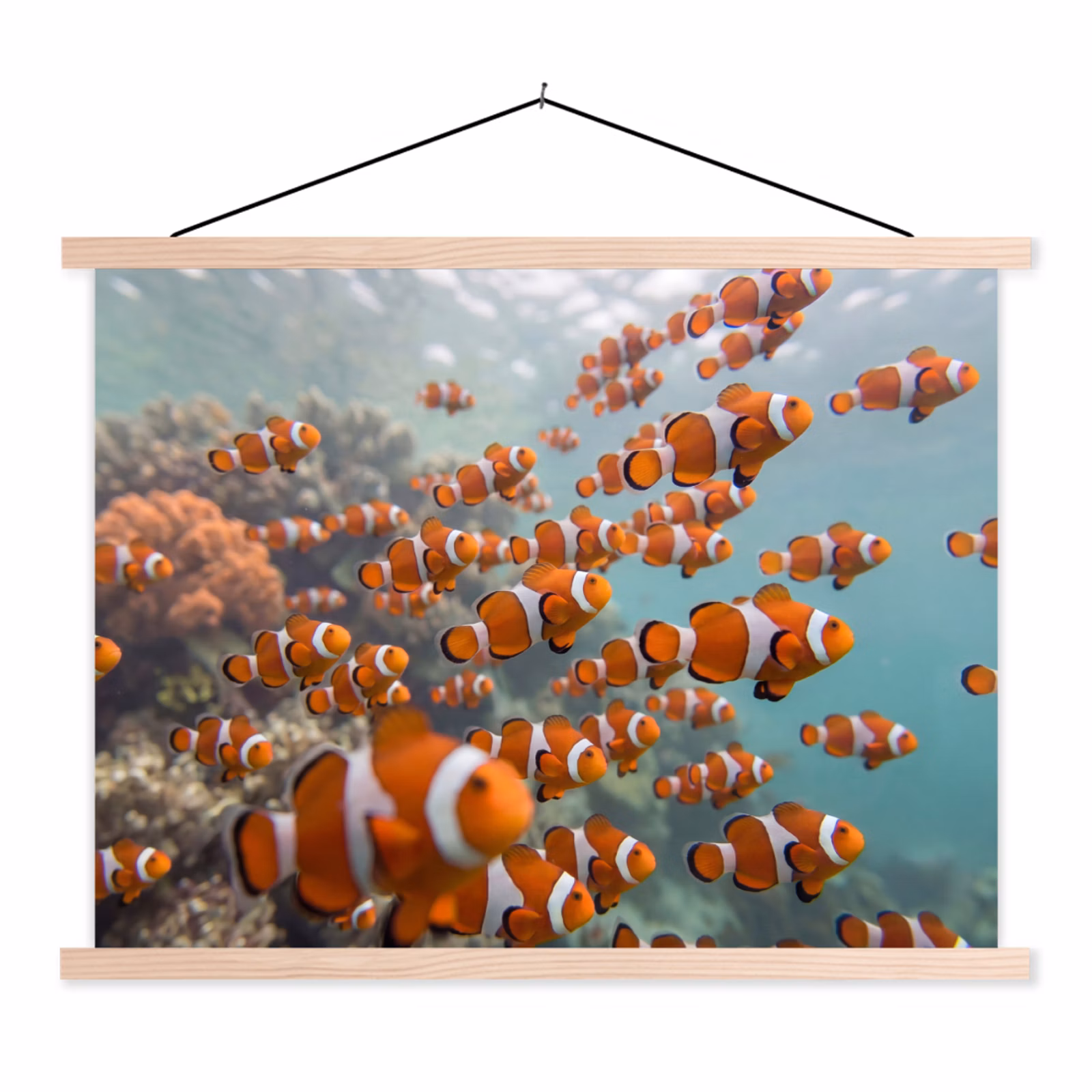 Schoolplaat - Vis - School - Onderwater - Dieren - Oranje — 1