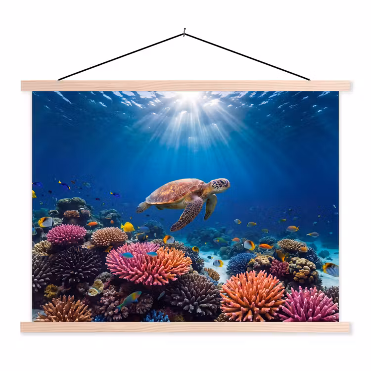 Schoolplaat - Schildpad - Koraalrif - Oceaan - Dieren - Blauw — 1