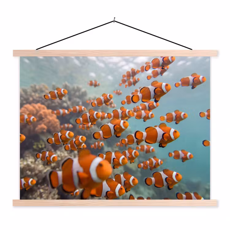 Schoolplaat - Vis - School - Onderwater - Dieren - Oranje — 1