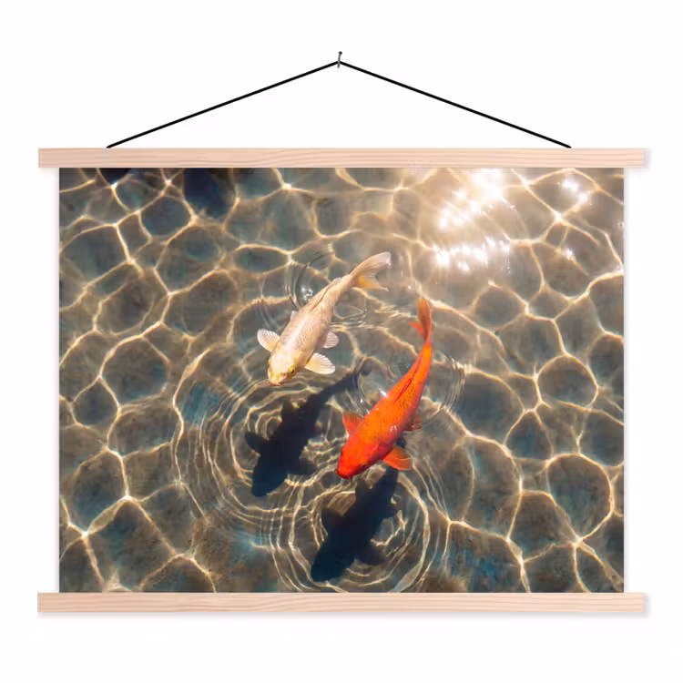 Schoolplaat - Vis - Water - Dieren - Oranje - Goud — 1