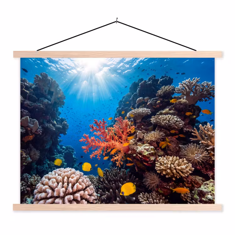 Schoolplaat - Zee - Koraalrif - Natuur - Levendig - Blauw — 1
