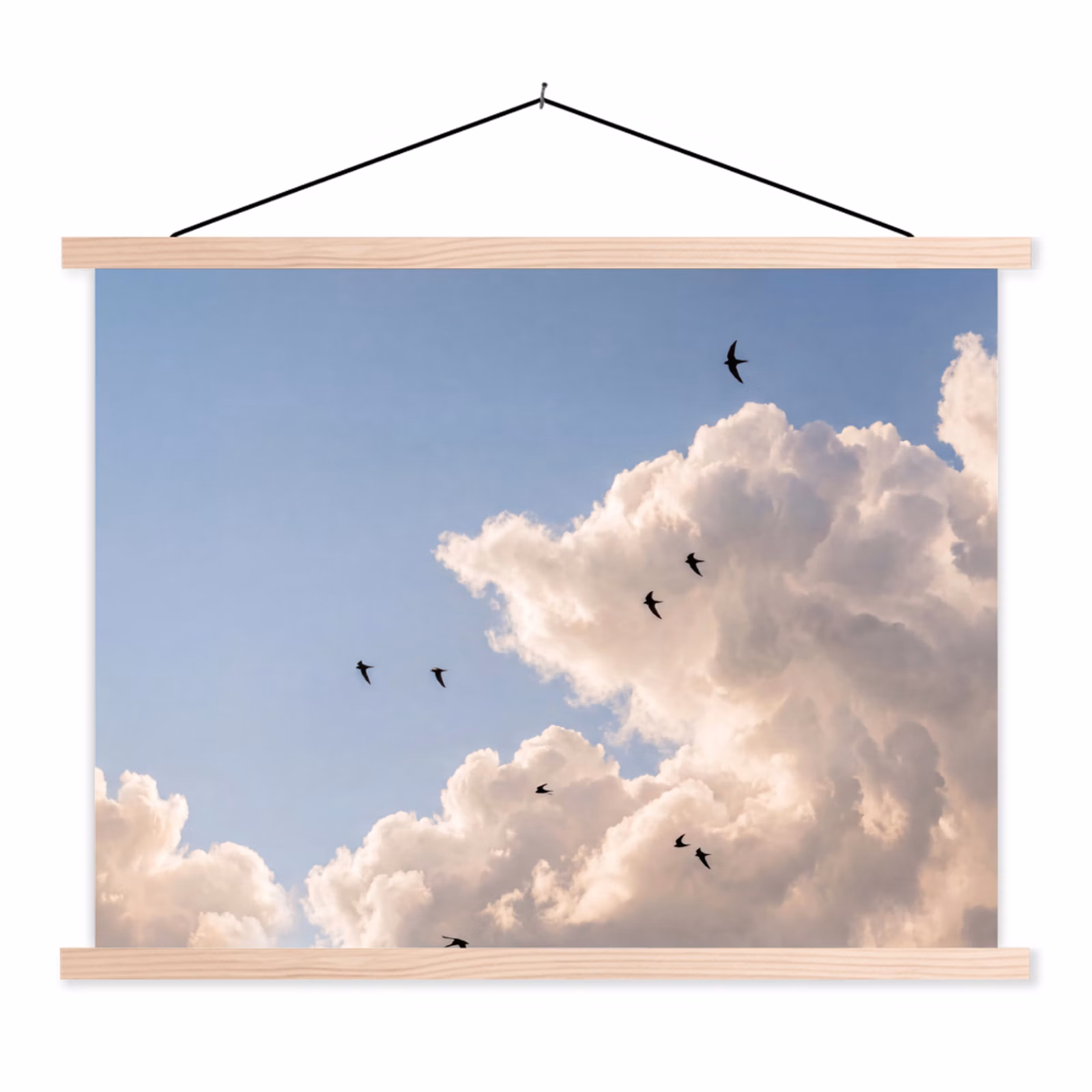 Schoolplaat - Vogel - Vlucht - Wolken - Natuur - Blauw — 1
