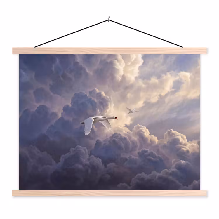 Schoolplaat - Vogel - Vliegend - Natuur - Wit - Wolken — 1