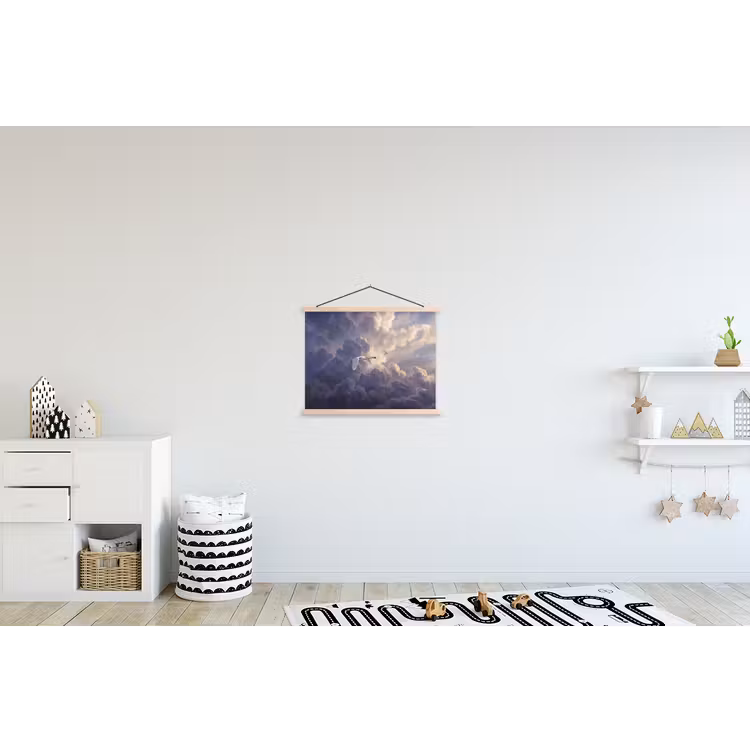 Schoolplaat - Vogel - Vliegend - Natuur - Wit - Wolken — 3