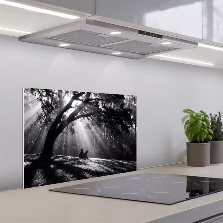 Spatscherm keuken - Mens - Hond - Natuur - Zwart-wit - Silhouet — 5