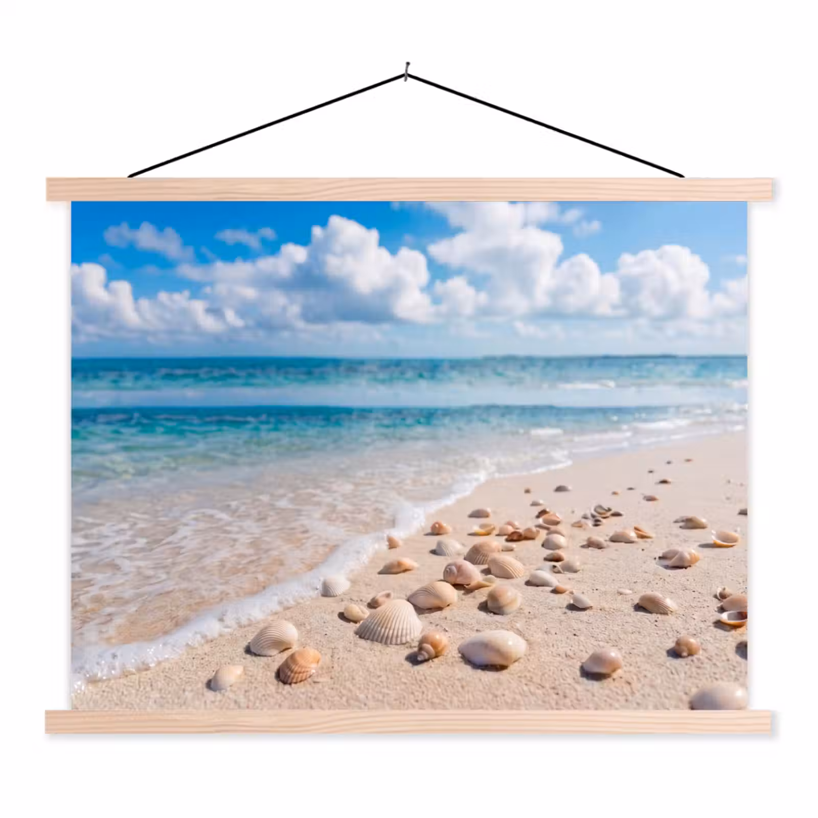 Schoolplaat - Schelpen - Strand - Natuur - Beige — 1