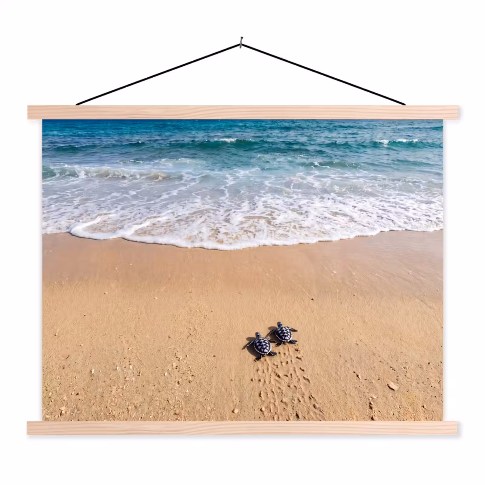 Schoolplaat - Schildpad - Jong - Strand - Oceaan - Blauw — 1