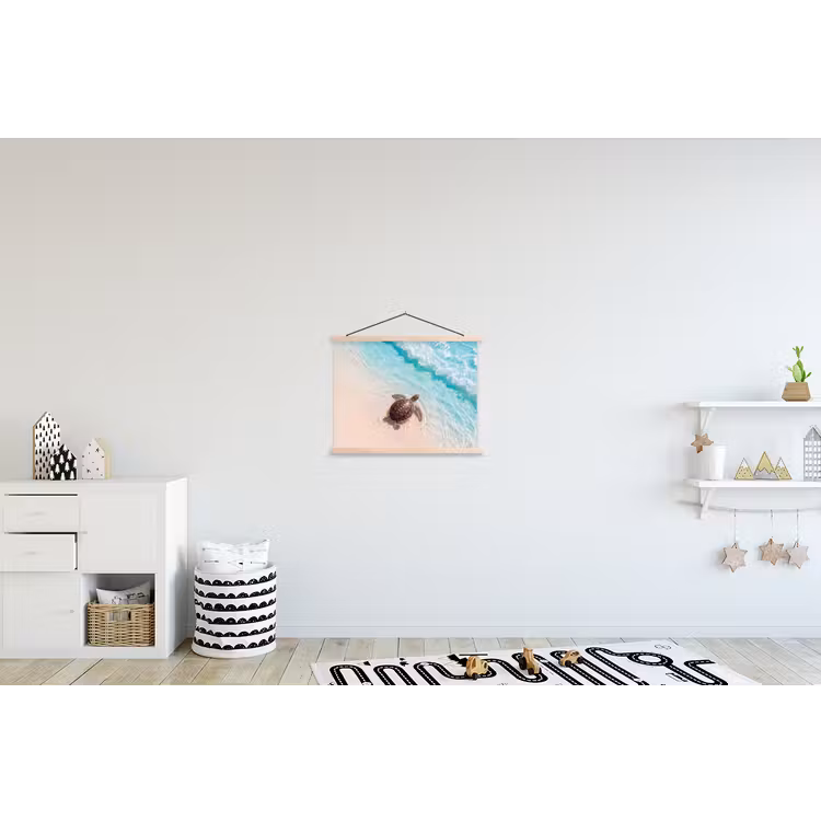 Schoolplaat - Schildpad - Helder water - Strand - Dieren - Natuur — 3