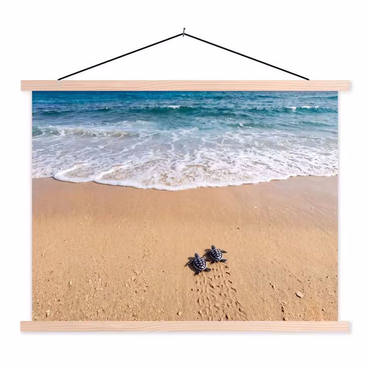 Schoolplaat - Schildpad - Jong - Strand - Oceaan - Blauw — 1