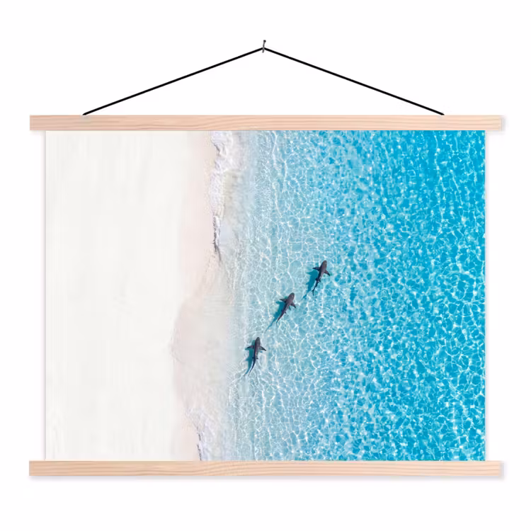 Schoolplaat - Vis - Oceaan - Strand - Turquoise - Natuur — 1