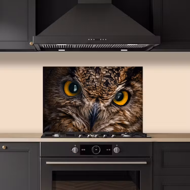 Spatscherm keuken - Uil - Dier - Oranje — 1