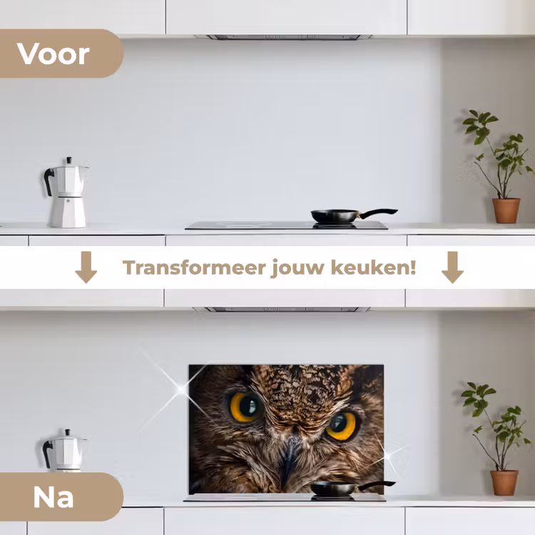 Spatscherm keuken - Uil - Dier - Oranje — 2