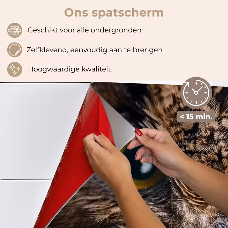 Spatscherm keuken - Uil - Dier - Oranje — 3