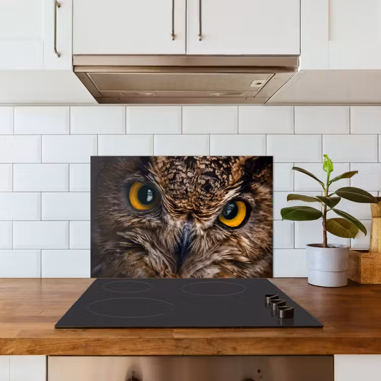 Spatscherm keuken - Uil - Dier - Oranje — 5