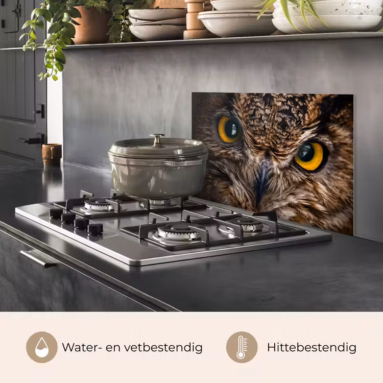 Spatscherm keuken - Uil - Dier - Oranje — 6