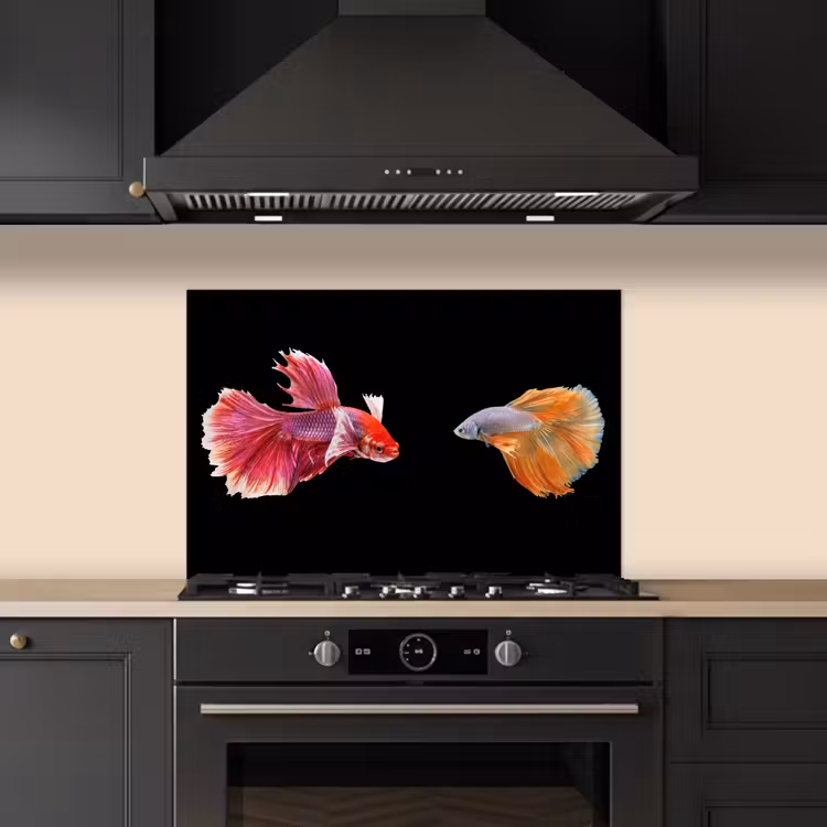 Spatscherm keuken - Vissen - Kleurrijk - Dieren — 1