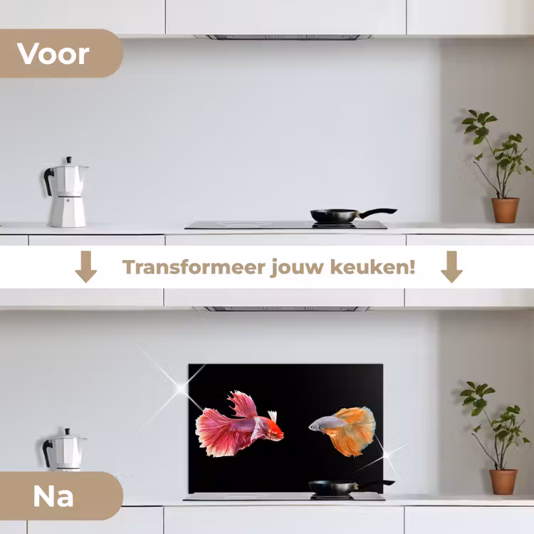 Spatscherm keuken - Vissen - Kleurrijk - Dieren — 2