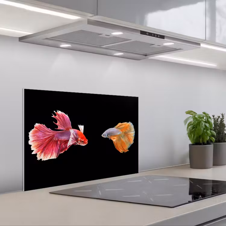 Spatscherm keuken - Vissen - Kleurrijk - Dieren — 4