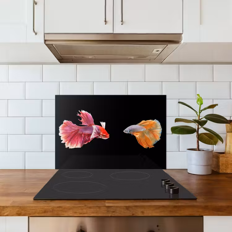 Spatscherm keuken - Vissen - Kleurrijk - Dieren — 5