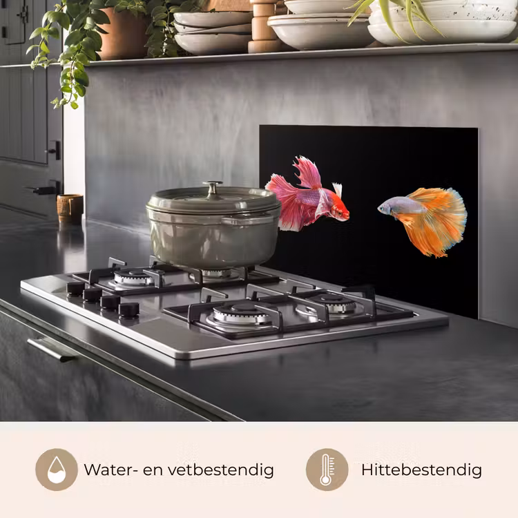 Spatscherm keuken - Vissen - Kleurrijk - Dieren — 6