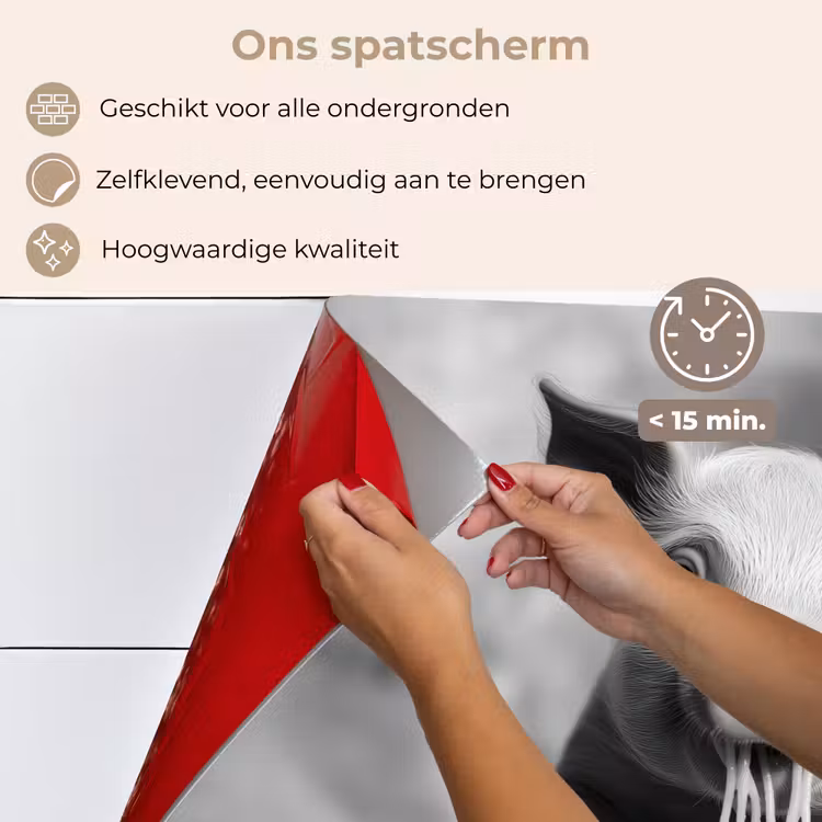 Spatscherm keuken - Varken - Schattig - Spaghetti - Zwart wit - Dier — 4
