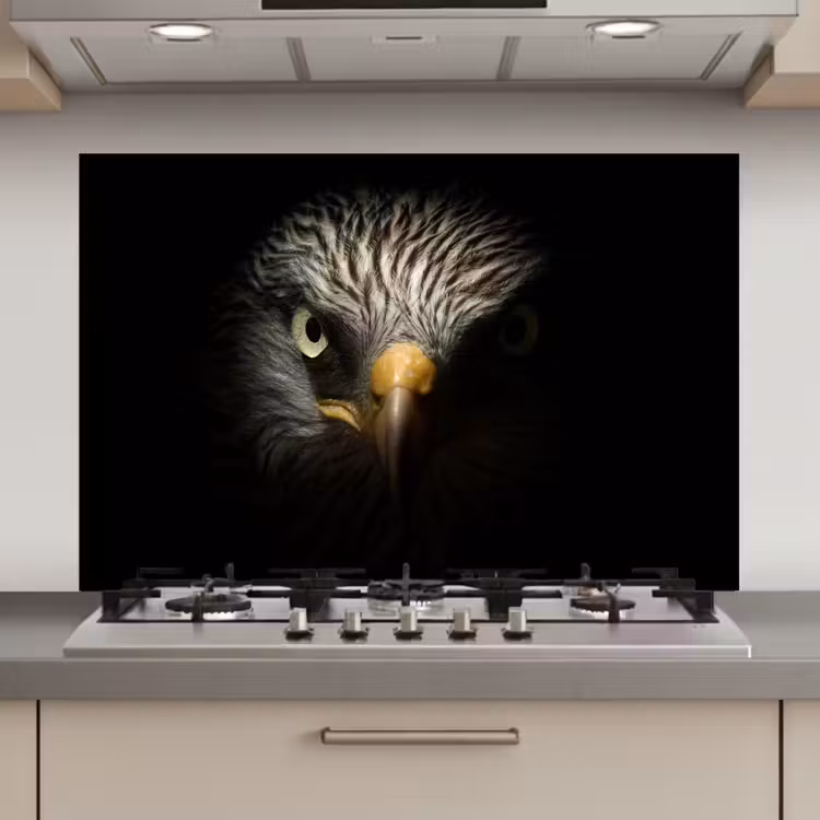 Spatscherm keuken - Vogel - Adelaar - Roofvogels - Oog - Snavel - Licht — 1
