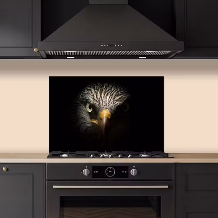 Spatscherm keuken - Vogel - Adelaar - Roofvogels - Oog - Snavel - Licht — 2