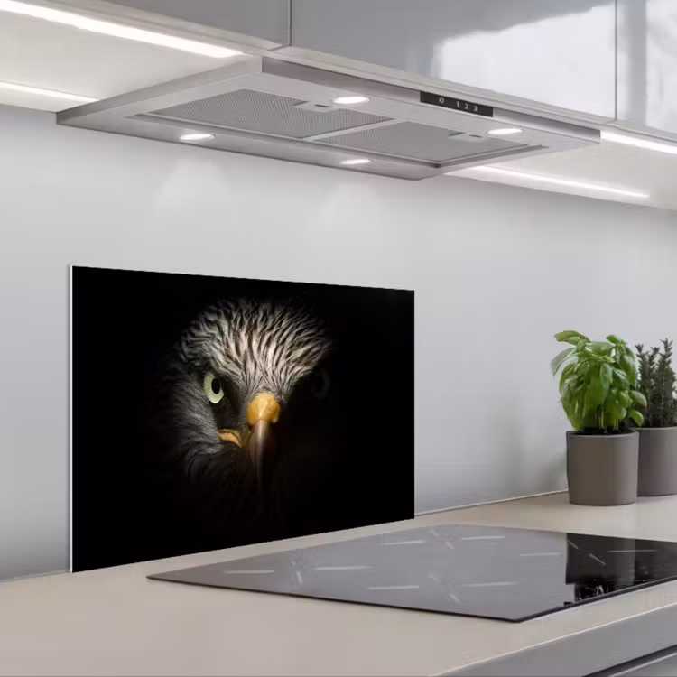 Spatscherm keuken - Vogel - Adelaar - Roofvogels - Oog - Snavel - Licht — 5