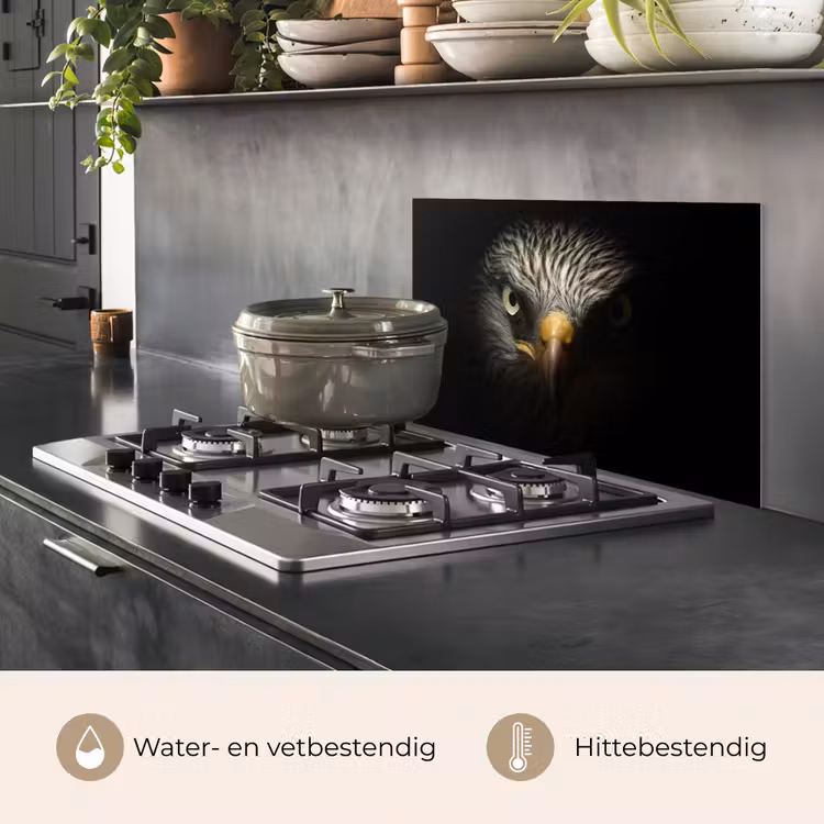 Spatscherm keuken - Vogel - Adelaar - Roofvogels - Oog - Snavel - Licht — 7