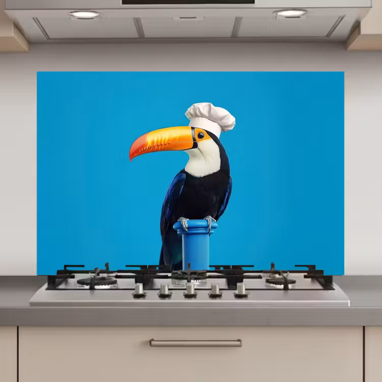 Spatscherm keuken - Tucan - Sokkel - Vogel - Koksmuts — 1
