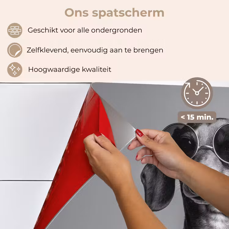 Spatscherm keuken - Teckel - Bier - Glas - Bril — 4