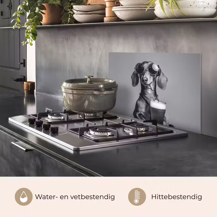 Spatscherm keuken - Teckel - Bier - Glas - Bril — 7