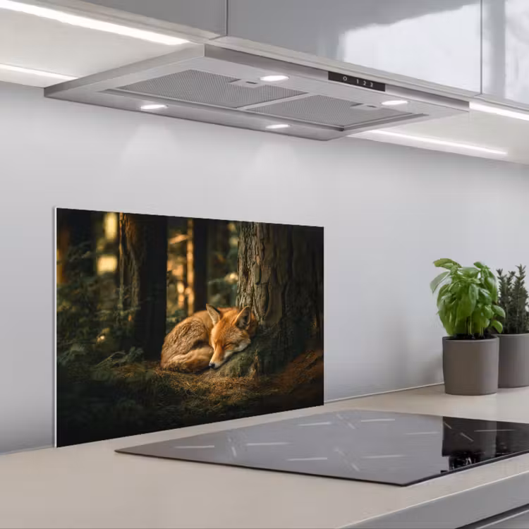 Spatscherm keuken - Vos - Bos - Slapen — 5