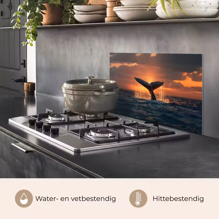 Spatscherm keuken - Walvis staart - Water - Zonsondergang — 7