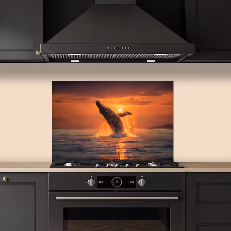 Spatscherm keuken - Walvis - Zon - Zee — 2