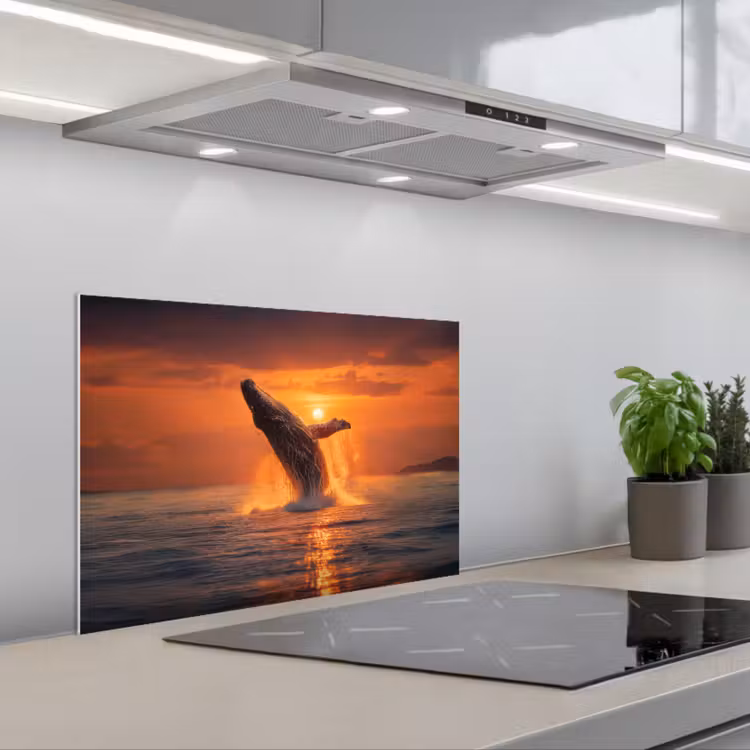 Spatscherm keuken - Walvis - Zon - Zee — 5