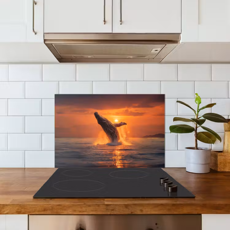 Spatscherm keuken - Walvis - Zon - Zee — 6