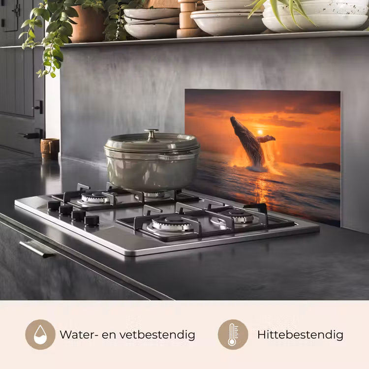 Spatscherm keuken - Walvis - Zon - Zee — 7