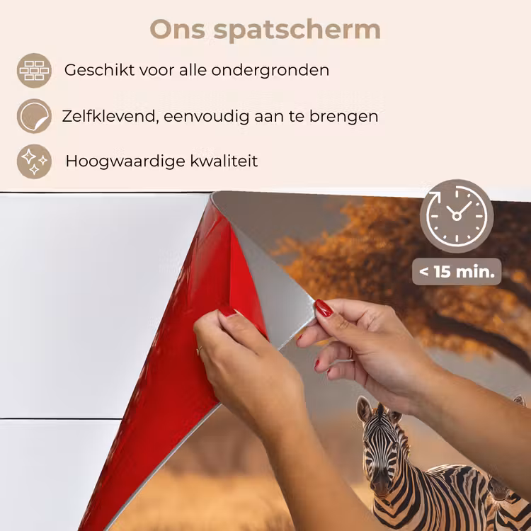 Spatscherm keuken - Zebra's - Savannelandschap - Gras — 4