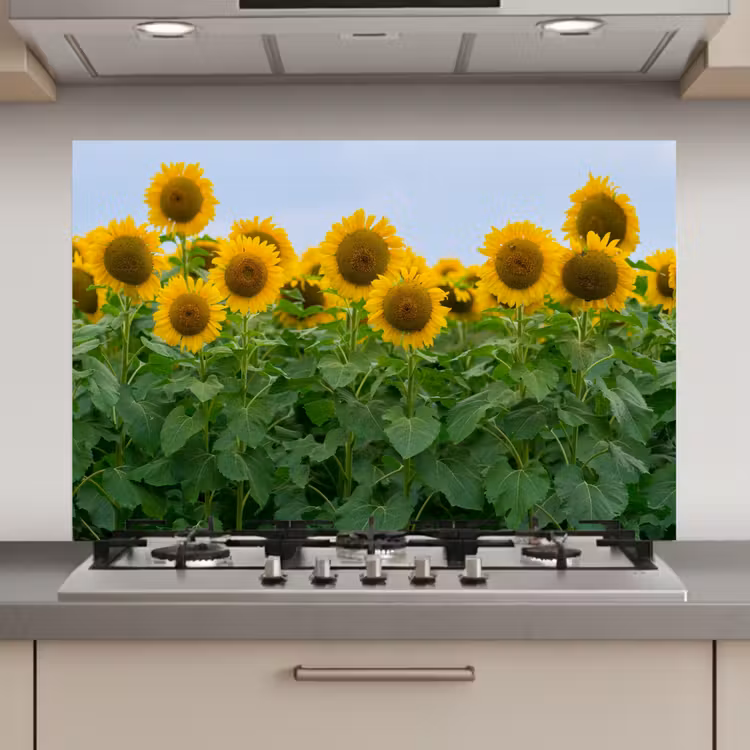 Spatscherm keuken - Zonnebloemen - Geel - Natuur — 1