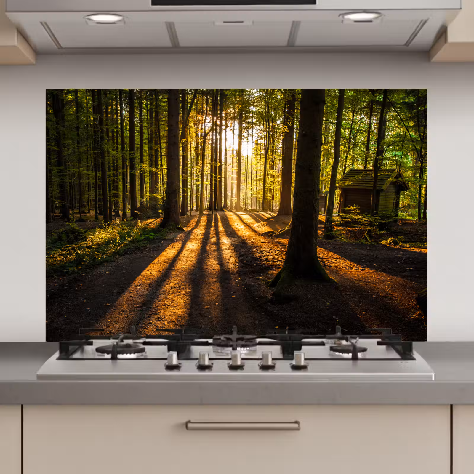 Spatscherm keuken - Zon - Bomen - Bos - Landschap - Natuur — 1