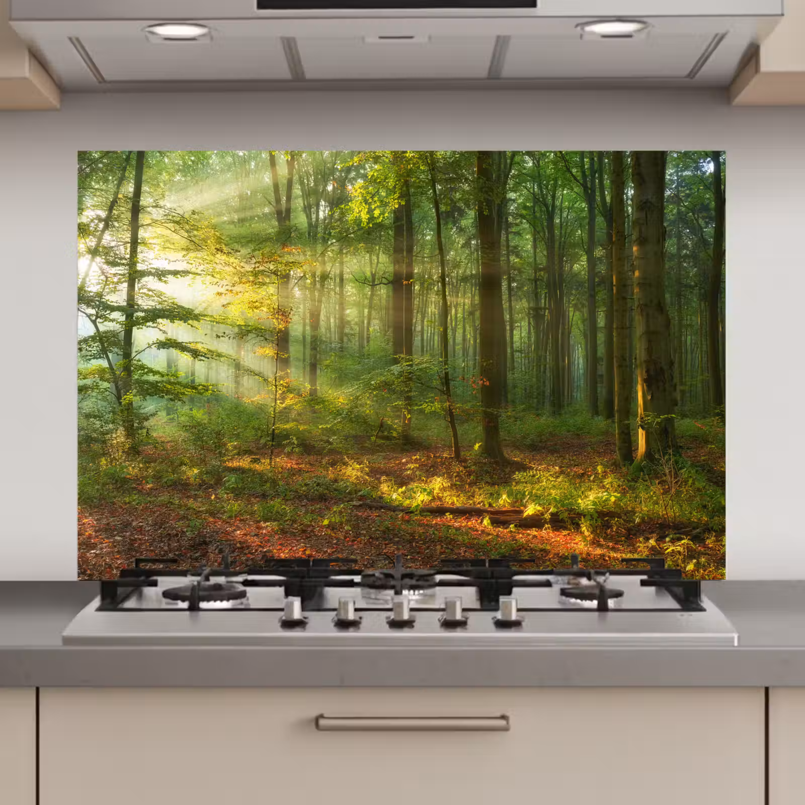 Spatscherm keuken - Zon - Bos - Bomen - Natuur - Herfst — 1