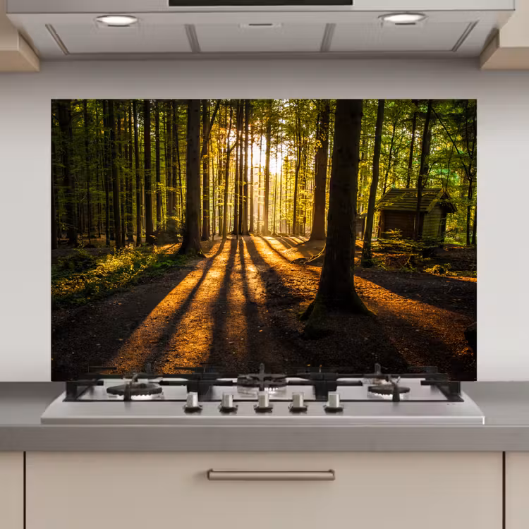 Spatscherm keuken - Zon - Bomen - Bos - Landschap - Natuur — 1