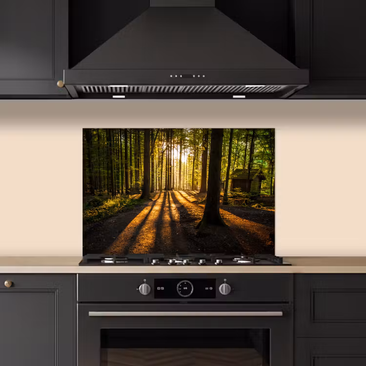 Spatscherm keuken - Zon - Bomen - Bos - Landschap - Natuur — 2