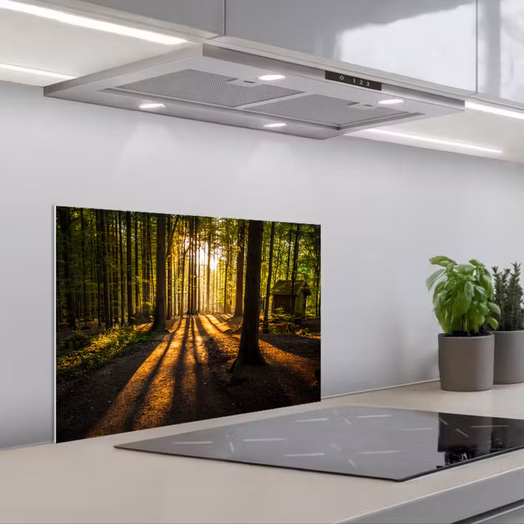 Spatscherm keuken - Zon - Bomen - Bos - Landschap - Natuur — 5
