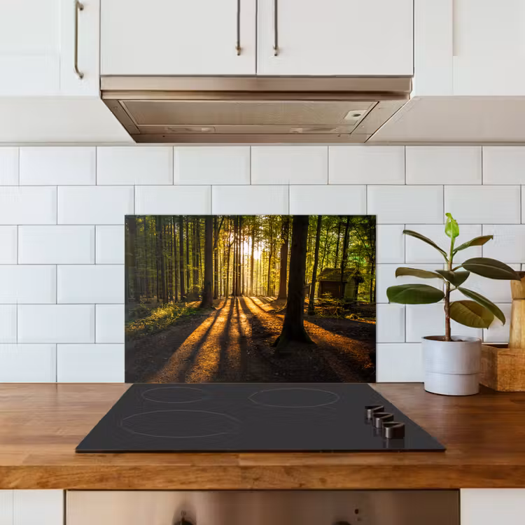 Spatscherm keuken - Zon - Bomen - Bos - Landschap - Natuur — 6