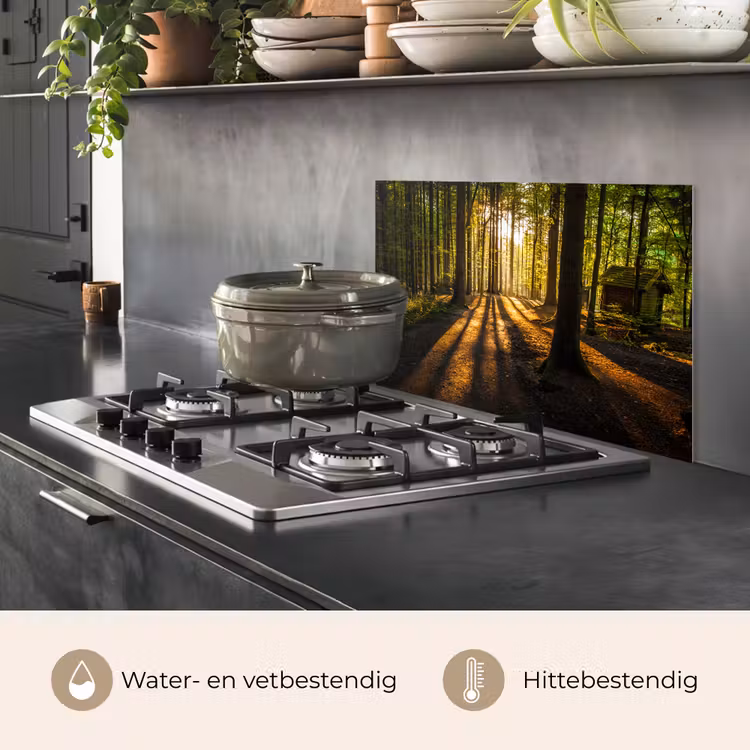 Spatscherm keuken - Zon - Bomen - Bos - Landschap - Natuur — 7