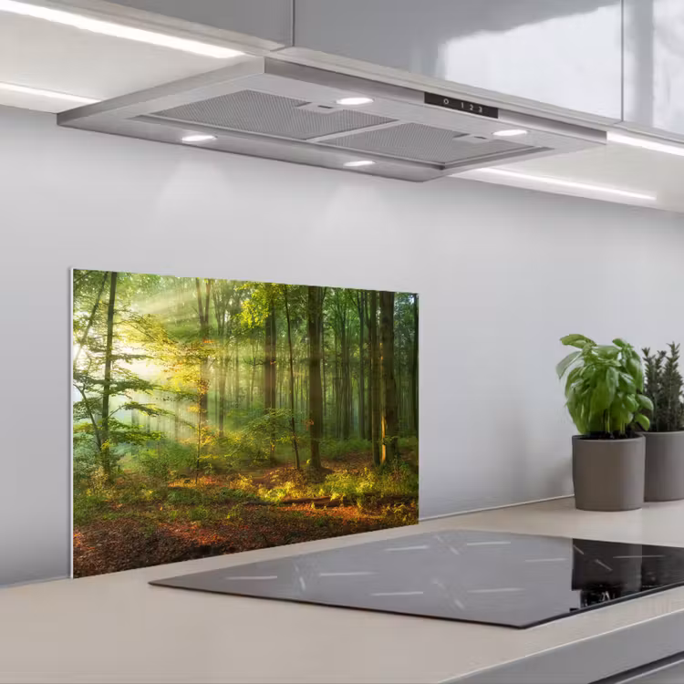 Spatscherm keuken - Zon - Bos - Bomen - Natuur - Herfst — 5