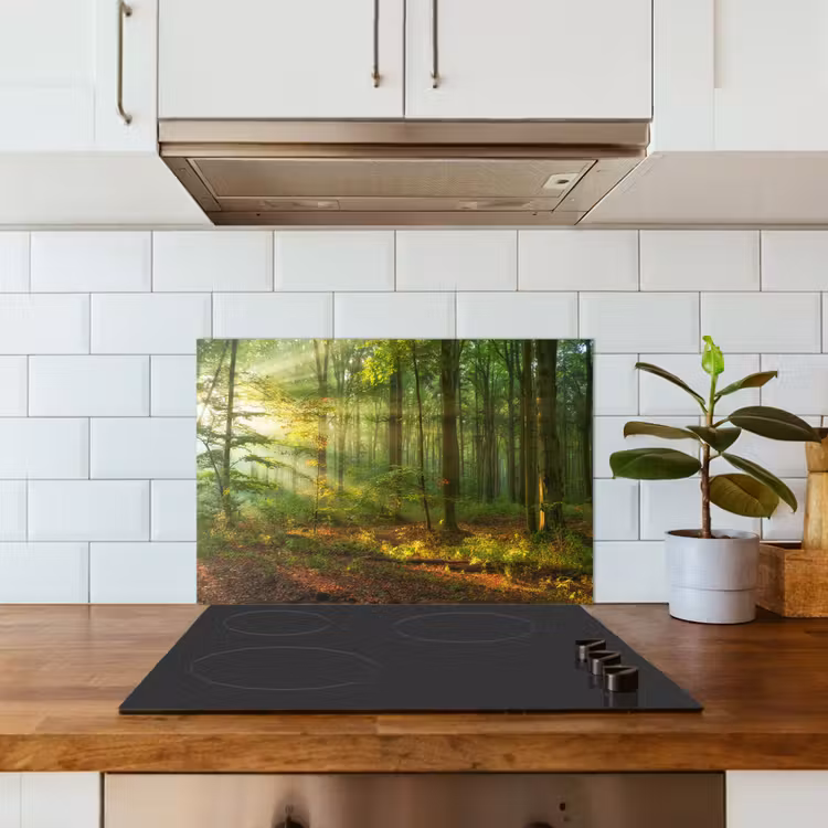 Spatscherm keuken - Zon - Bos - Bomen - Natuur - Herfst — 6